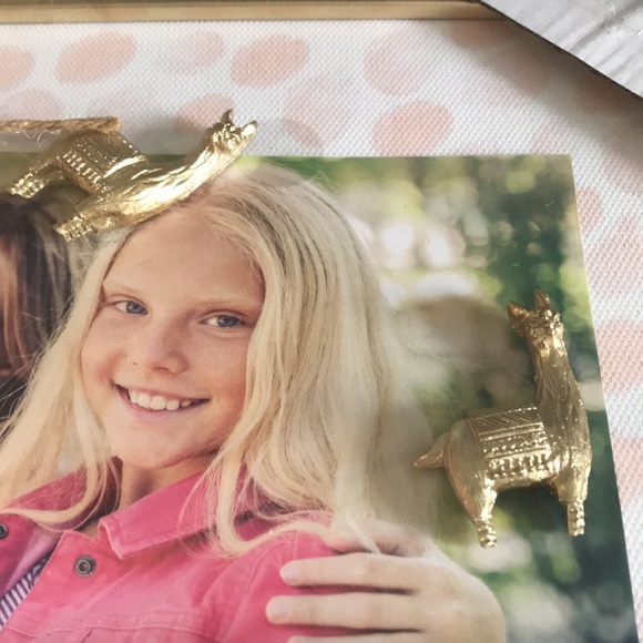 4/$20 Magnetic Board Gold Framed With Llama Magnets “BFFS” New Gift Set - Picture 2 of 11